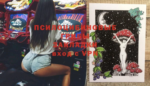 гидра Армянск