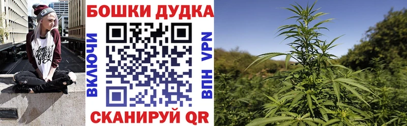 цена наркотик  Сунжа  Шишки марихуана индика 